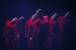 16ο ARC FOR DANCE FESTIVAL